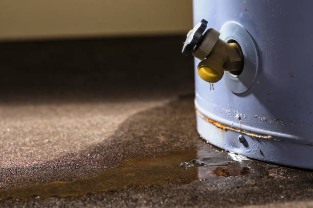 Best Professional water damage repair  in Mineral Ridge, OH