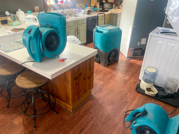 Sewage cleanup and water damage restoration in Mineral Ridge, OH