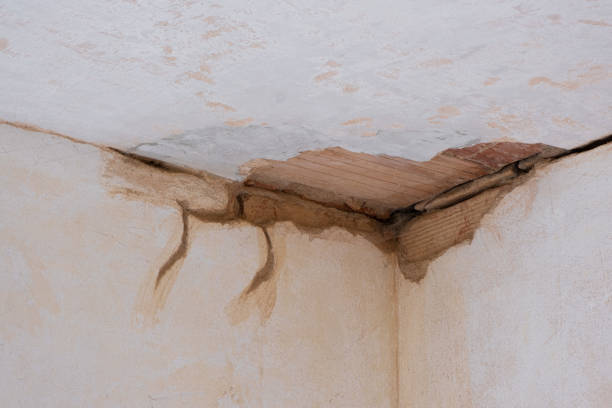 Best Flooded house restoration  in Mineral Ridge, OH