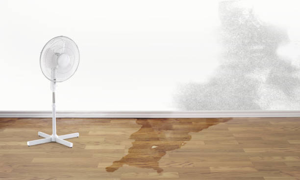 Best Emergency water damage restoration  in Mineral Ridge, OH