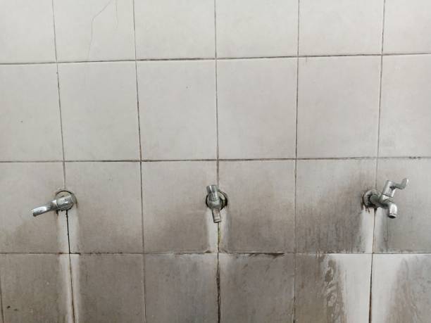 Best Water damage restoration near me  in Mineral Ridge, OH