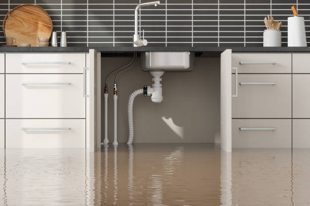Best Ceiling water damage repair  in Mineral Ridge, OH