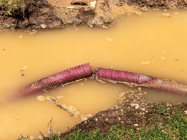 Carpet water damage restoration in Mineral Ridge, OH