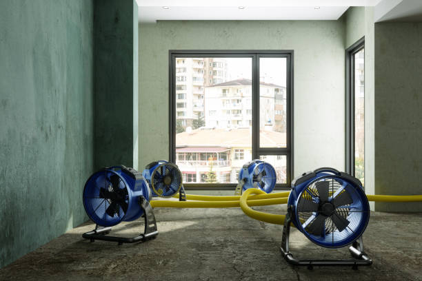 Best 24-hour water damage restoration  in Mineral Ridge, OH